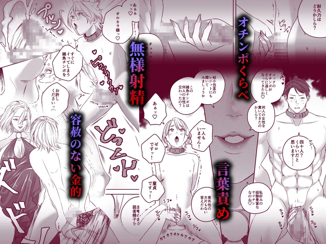 ハイガーデン  ローライフ 画像4